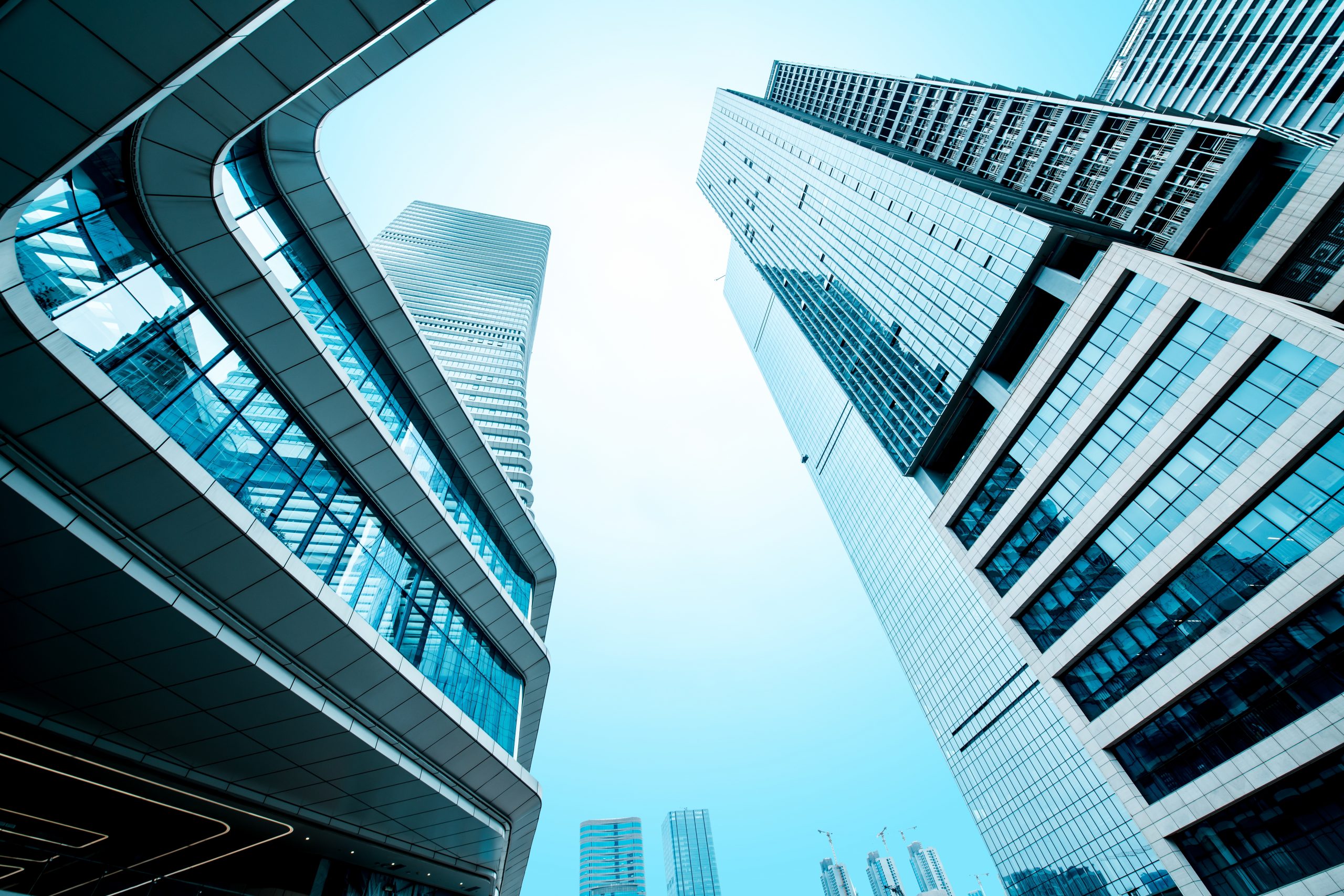 LEEXS%20 %20Leading%20Excellence